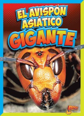 El Avispón Asiático Gigante 1