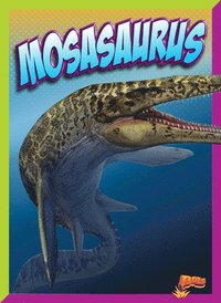 bokomslag Mosasaurus