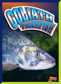 bokomslag Goliath Tigerfish