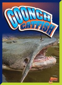 bokomslag Goonch Catfish