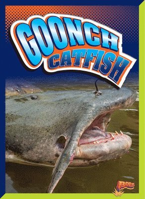Goonch Catfish 1
