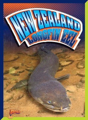bokomslag New Zealand Longfin Eel