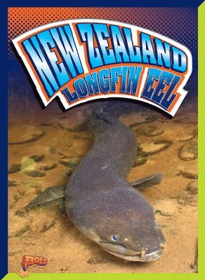 New Zealand Longfin Eel 1