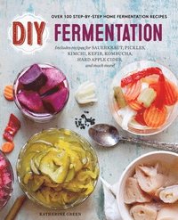 bokomslag DIY Fermentation