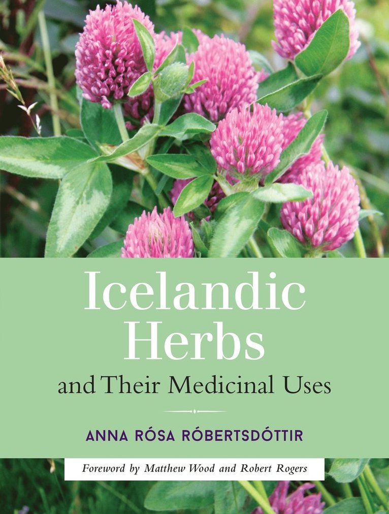 Icelandic Herbs and Their Medicinal Uses 1