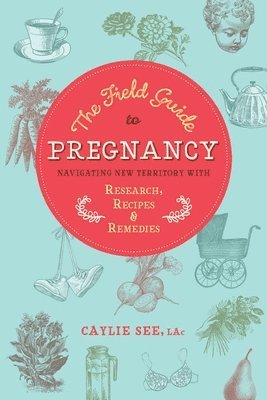 bokomslag Field Guide to Pregnancy