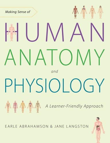 bokomslag Making Sense of Human Anatomy and Physiology