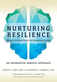bokomslag Nurturing Resilience