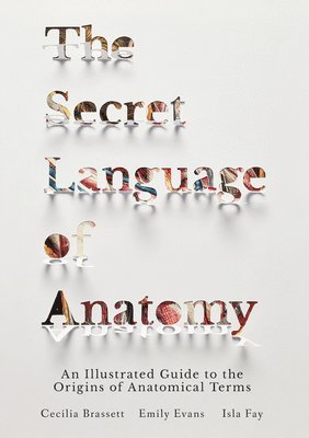 The Secret Language of Anatomy 1