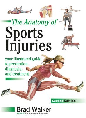 bokomslag The Anatomy of Sports Injuries, Second Edition