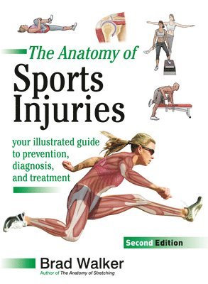 The Anatomy of Sports Injuries, Second Edition: Your Illustrated Guide to Prevention, Diagnosis, and Treatment 1