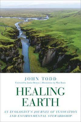 Healing Earth 1