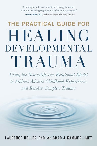 Laurence Heller, Brad Kammer - Practical Guide for Healing Developmental Trauma, Häftad