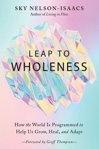 bokomslag Leap to Wholeness