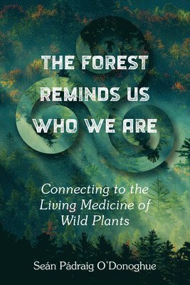 bokomslag The Forest Reminds Us Who We Are