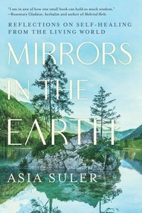 bokomslag Mirrors in the Earth