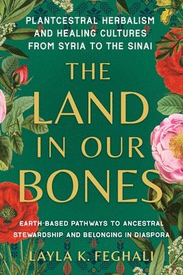 bokomslag Land in Our Bones