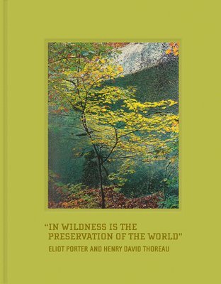 Henry David Thoreau - In Wildness, Inbunden