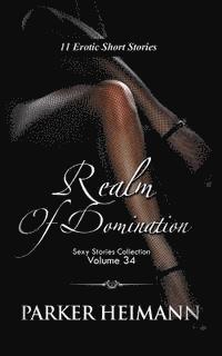 bokomslag Realm of Domination: 11 Erotic Short Stories