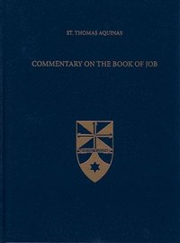 bokomslag Commentary on the Book of Job