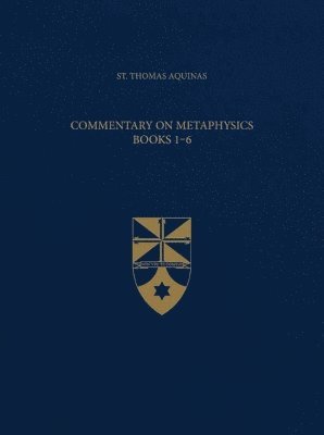 bokomslag Commentary on Metaphysics, Books 1-6