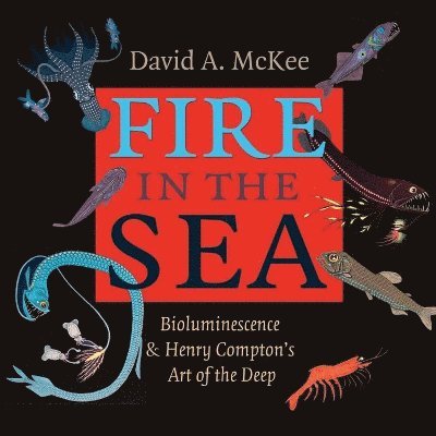 Fire in the Sea 1