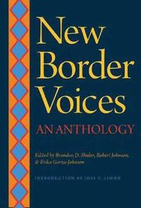 bokomslag New Border Voices