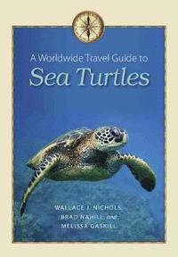 bokomslag A Worldwide Travel Guide to Sea Turtles