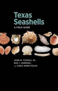 bokomslag Texas Seashells