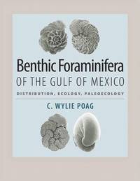 bokomslag Benthic Foraminifera of the Gulf of Mexico