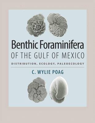 Benthic Foraminifera of the Gulf of Mexico 1