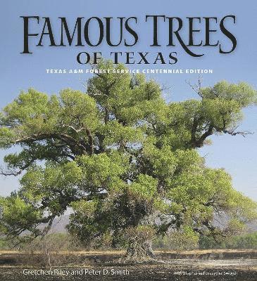 Famous Trees of Texas 1