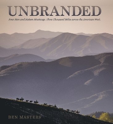 Unbranded 1