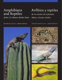 bokomslag Amphibians and Reptiles of theUS-Mexico Border States/Anfibios y reptiles de los estados de la frontera México-Estados Unidos