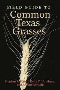 bokomslag Field Guide to Common Texas Grasses
