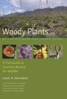 bokomslag Woody Plants of the Big Bendand Trans-Pecos
