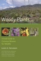 Louis A. Harveson, Louis A Harveson - Woody Plants of the Big Bendand Trans-Pecos, Häftad