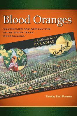 Blood Oranges 1