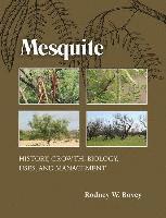 bokomslag Mesquite