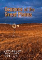 bokomslag Grasses of the Great Plains