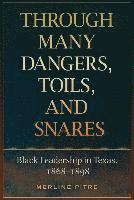 bokomslag Through Many Dangers, Toils, and Snares