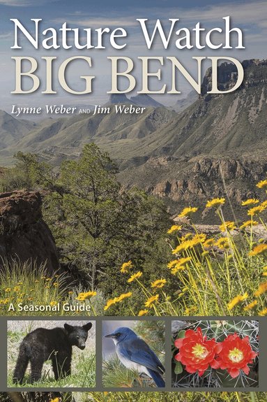 Lynne Weber, Jim Weber - Nature Watch Big Bend, Häftad