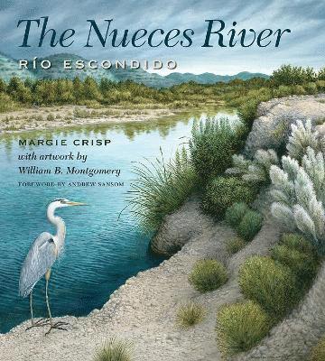 The Nueces River 1