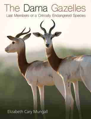Elizabeth Cary Mungall - Dama Gazelles, Inbunden