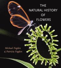 bokomslag The Natural History of Flowers