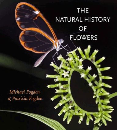 Michael Fogden, Patricia Fogden - Natural History of Flowers, Inbunden
