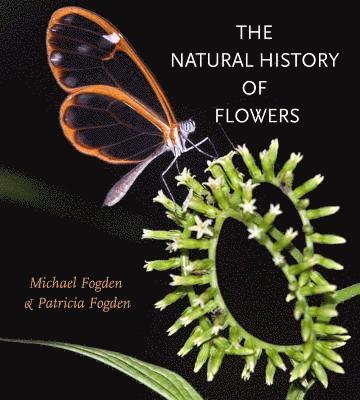 bokomslag Natural History of Flowers