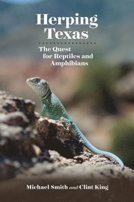 bokomslag Herping Texas