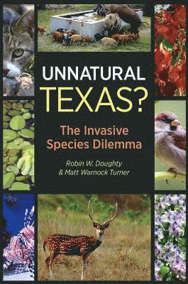 Unnatural Texas? 1