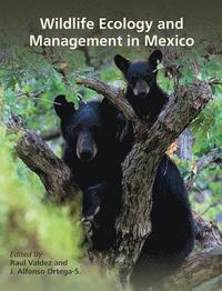 bokomslag Wildlife Ecology and Management in Mexico